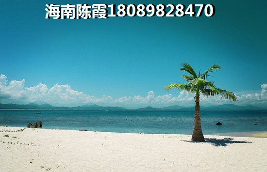 海南棋子湾2025有前景的地区